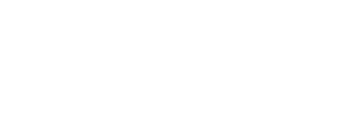 Arctic Wolf White Logo_500x177
