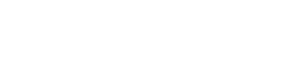 logo-pentera-white