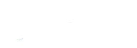 Artic Wolf Logo | Alchemy Tech Group